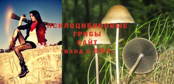 экстази Заволжск